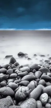Experience the mesmerizing beauty of nature with this black and white live wallpaper