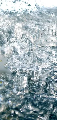This lemon slice live wallpaper depicts a close up of a lemon slice in a sink with rushing water as the background