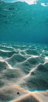 Bring the ocean to your phone with this live wallpaper