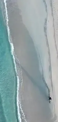 This mobile live wallpaper features a breathtaking view of a surfer catching waves on a sandy beach
