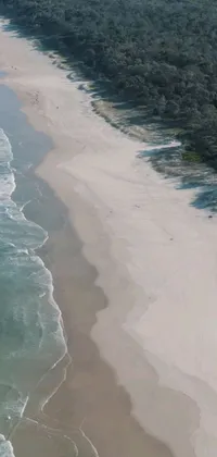 Enjoy an incredible phone live wallpaper with a serene and captivating view