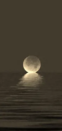 This striking live wallpaper features an enigmatic full moon rising above a calm body of water