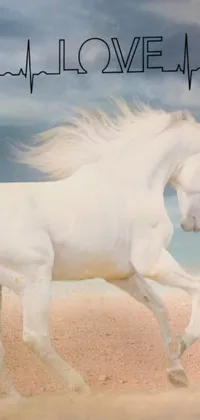 The stunning live wallpaper depicts a white horse galloping across a sandy field in exquisite detail