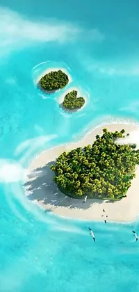 This phone live wallpaper features a stunning image of a small tropical island in the midst of the vast ocean, encompassing clear turquoise waters and beautiful greenery