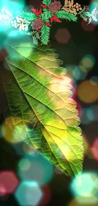 This phone live wallpaper features a stunning close-up shot of a leaf in a forest, captured in high resolution by a talented photographer