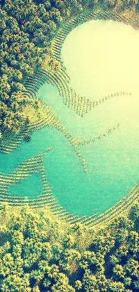 The live wallpaper depicts an aerial view of a serene lake surrounded by trees