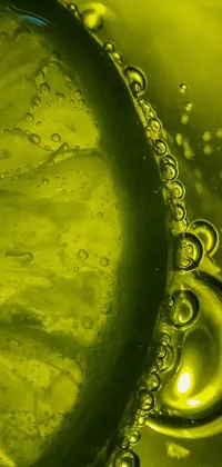Water Leaf Moisture Live Wallpaper