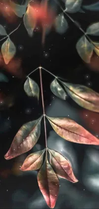 This phone live wallpaper boasts a close-up shot of a leaf on a tree, rendered in stunning digital art style