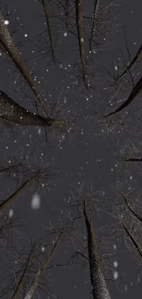 This live phone wallpaper transports you to a serene winter scene with snowy trees