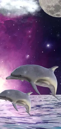 This live phone wallpaper showcases a breathtaking image of two frolicking dolphins set against a cosmic background