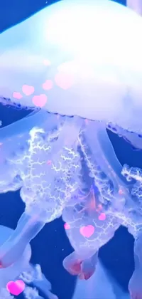 Water Light Jellyfish Live Wallpaper