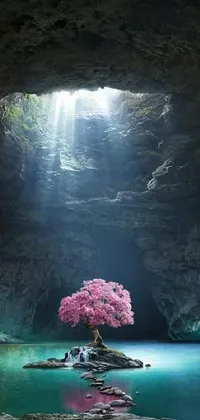 Water Light Nature Live Wallpaper