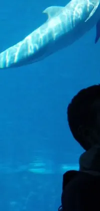 Water Light Underwater Live Wallpaper