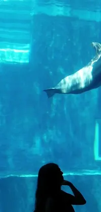 Discover a captivating live wallpaper for your phone featuring a group of individuals mesmerized by a playful dolphin in an aquarium