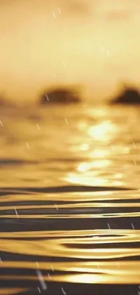 This mesmerizing phone live wallpaper showcases a peaceful body of water at sunset, with realistic animations of raindrops creating ripples across the surface