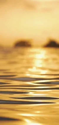 Looking for an awe-inspiring live wallpaper for your phone? You'll fall in love with this stunning close-up view of a body of water at sunset