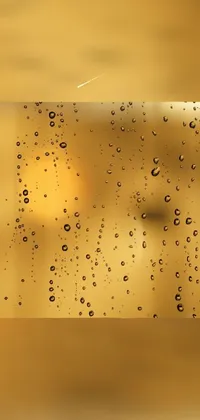 Water Liquid Amber Live Wallpaper