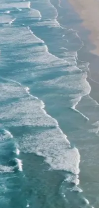 This phone live wallpaper captures the serene environment of a beach and large body of water