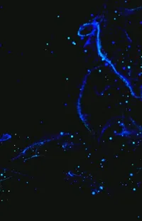 Water Liquid Astronomical Object Live Wallpaper