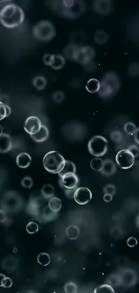 Water Liquid Atmosphere Live Wallpaper