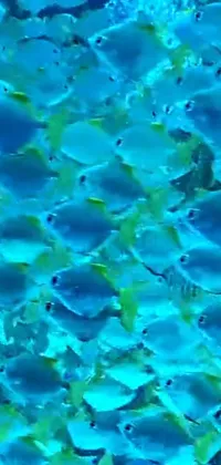 Transform your phone's background into an aquatic oasis with this vibrant live wallpaper