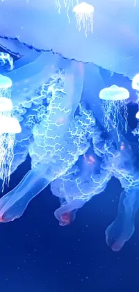 This mesmerizing live wallpaper features a group of jellyfish floating elegantly on a body of water