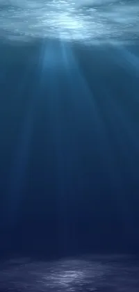 Transform your phone into an underwater paradise with this stunning live wallpaper