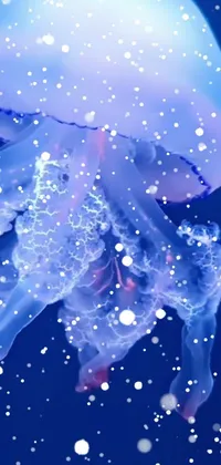 Transform your phone into a stunning underwater paradise with this mesmerizing jellyfish live wallpaper
