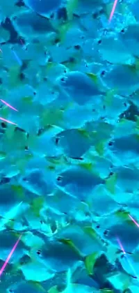 Get mesmerized by this live wallpaper for your phone featuring cobalt colored fish swimming in holographic water, with glowing white laser eyes, star wars lasers, and rod rays