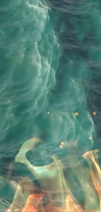 This live wallpaper for your phone features the captivating image of a fire in the water by Lisa Nankivil