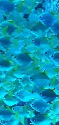 Water Liquid Azure Live Wallpaper