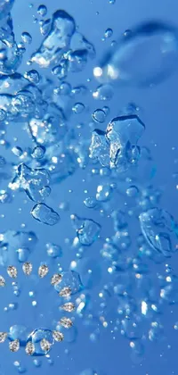This stunning live wallpaper will bring your phone to life! Featuring an enchanting underwater scene with bubbles and a microscopic photo, this wallpaper will amaze you with its attention to detail