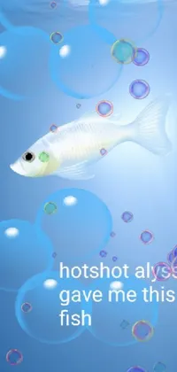 This live phone wallpaper depicts a striking and vibrant fish as the centerpiece, swimming in a transparent blue body of water amongst bubbles rising to the surface