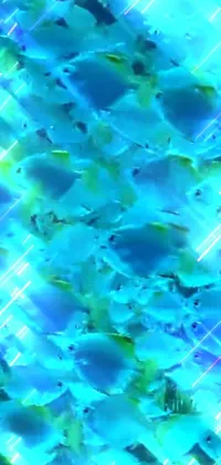 This live wallpaper features a vibrant underwater scene with tropical fish swimming in a blue background with flashes of cyan light