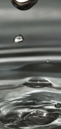 Behold the beauty of a hyperrealistic phone live wallpaper featuring a single droplet of water splashing onto a serene body of water