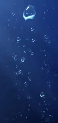 This captivating phone live wallpaper boasts an exquisite scene of bubbles floating on a blue surface, surrounded by a drop of waters and a rainy atmosphere