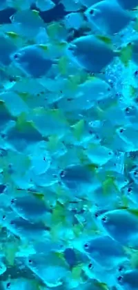 This stunning live wallpaper features a group of blue fish swimming in a serene blue body of water, lending a seapunk vibe to your phone screen