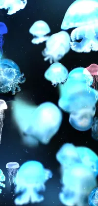 This phone live wallpaper showcases a stunning image of captivating jellyfish in blue neon lighting