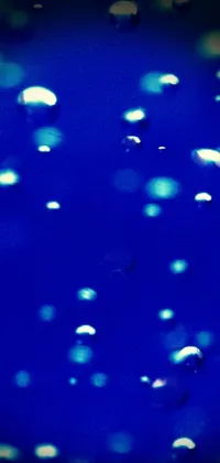 This phone wallpaper showcases a group of bubbles floating on a blue surface with a microscopic photo aesthetic