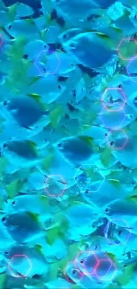 This phone live wallpaper is a stunning underwater scene that showcases schools of colorful fish, all created using AI-based biodiversity to add to the realistic and immersive experience