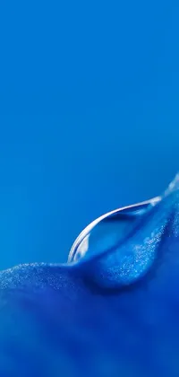 This amazing live wallpaper displays an incredible macro photograph of a single drop of water resting on a leaf