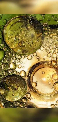 Water Liquid Botany Live Wallpaper