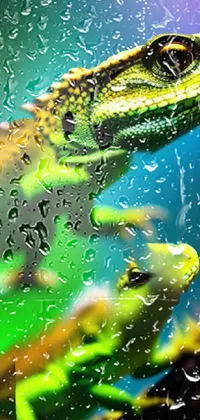 Water Liquid Crocodile Live Wallpaper