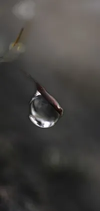 Water Liquid Eye Live Wallpaper
