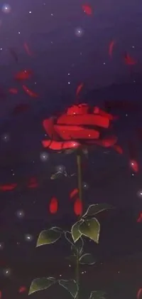 Water Liquid Flower Live Wallpaper