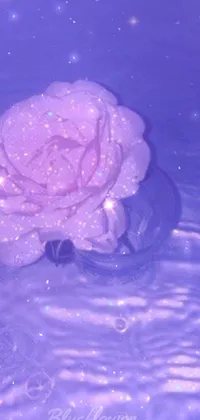 Water Liquid Flower Live Wallpaper