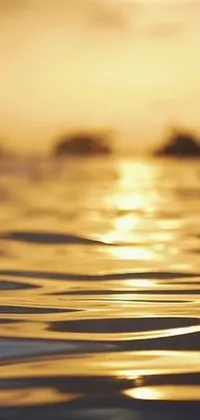 This stunning phone live wallpaper showcases a body of water against a mesmerizing sunset