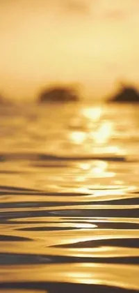 This phone live wallpaper depicts a mesmerizing view of a body of water during golden hour