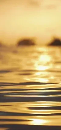 Transform your phone screen into a serene oasis with this live wallpaper featuring a close-up shot of a body of water with a stunning golden sunset in the background