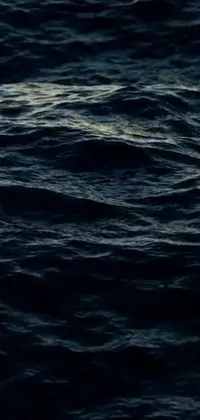 This phone live wallpaper depicts a stunning video showcasing a bird flying over a serene body of water against a beautiful midnight-blue sky